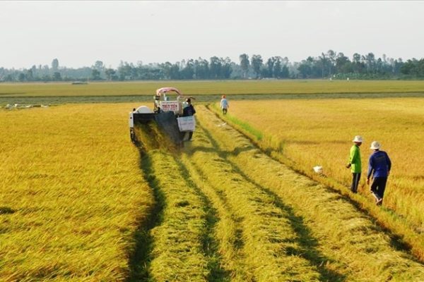 Người không trực tiếp sản xuất nông nghiệp có được thừa kế đất nông nghiệp?